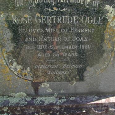 OGLE Rose Gertrude -1950