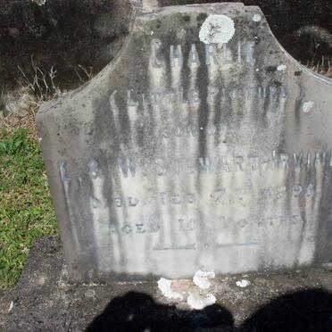 STEWART-IRVINE Charlie 1894-1895