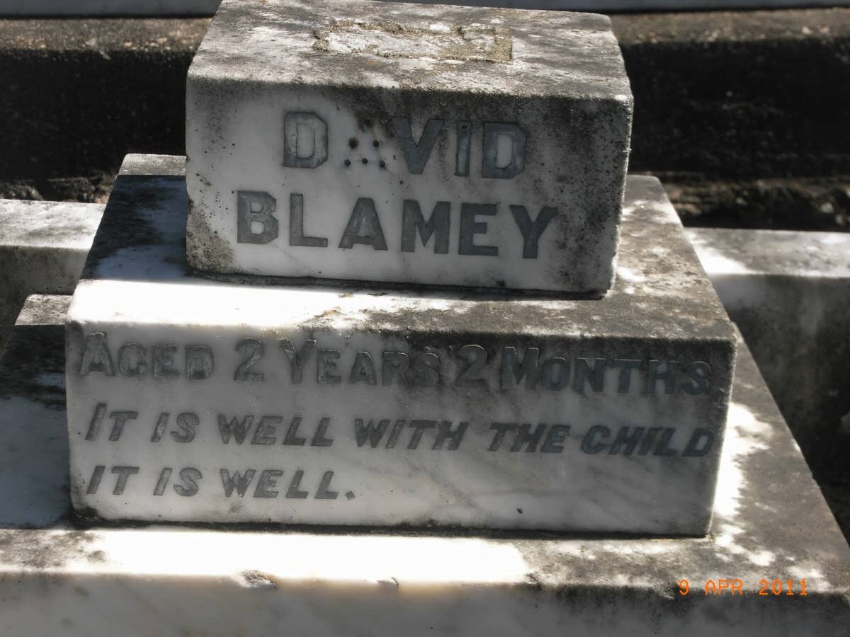BLAMEY David