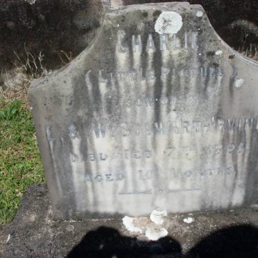 STEWART-IRVINE Charlie 1894-1895