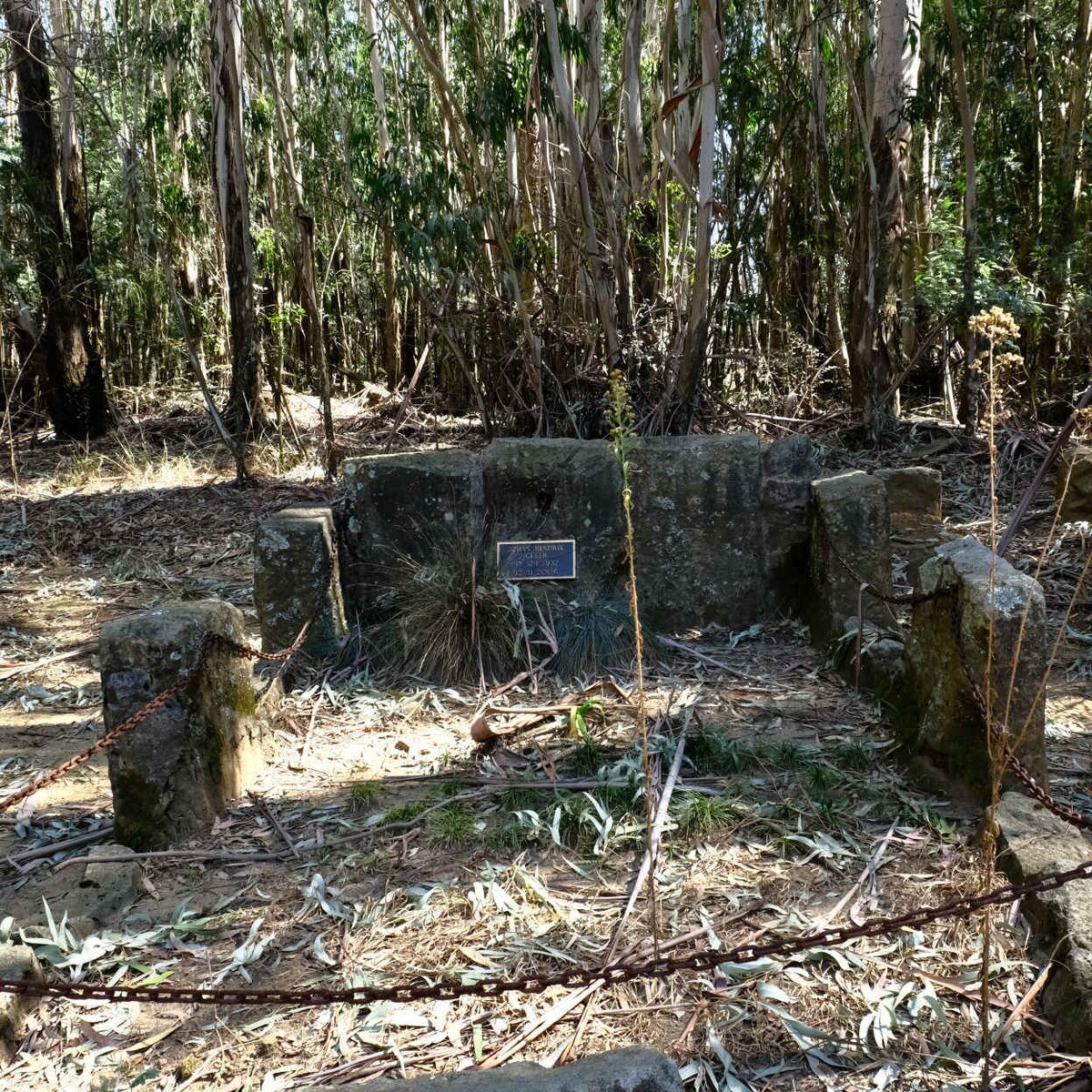 GEYER Johan Hendrik 1937-2006