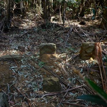 Kwazulu-Natal, UNDERBERG district, Garden Castle State Forest, Silver Streams 12095, farm cemetery