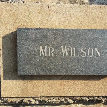 WILSON