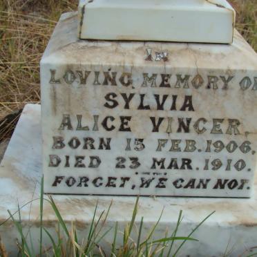VINCER Sylvia Alice 1906-1910