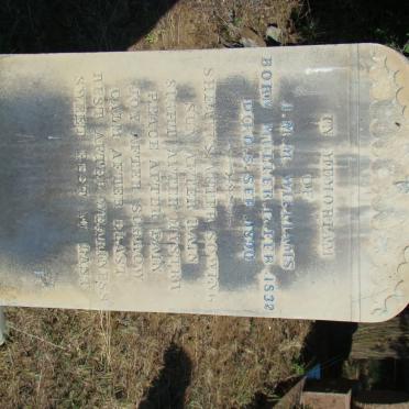 WILLIAMS I.M.M. nee MULLER 1832-1890