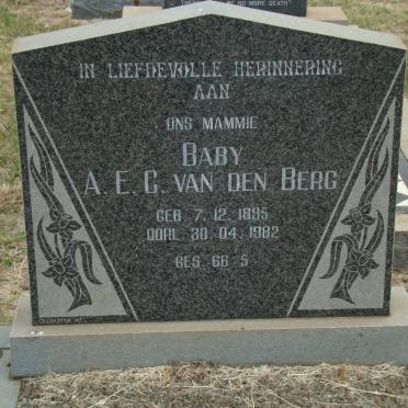 BERG A.E.C., van den 1895-1982