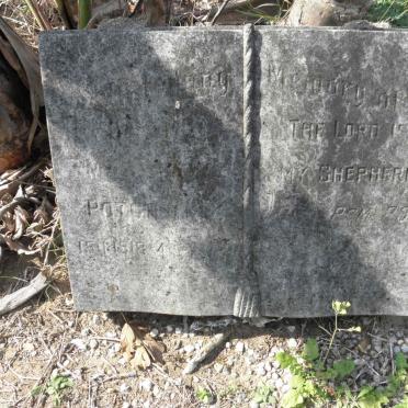 P - Vanne :: Surnames - P