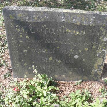 STEVENSON Walter Samuel -1954