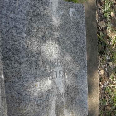 WHITE ?nardin 19??-2005