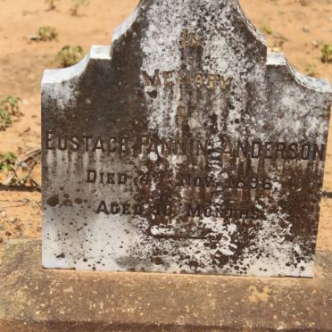 ANDERSON Eustace Fannin -1896