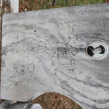 DIAMOND Hymie 1963-1985