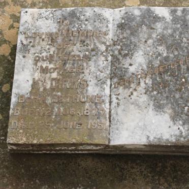 DIRKS K. nee BETHUNE 1877-1951