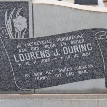 DURING Lourens J. 1965-1981