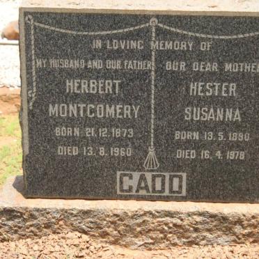 GADD Herbert Montgomery 1873-1960 &amp; Hester Susanna 1890-1978