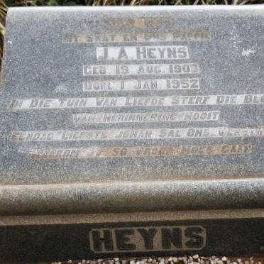 HEYNS J.A. 1903-1952