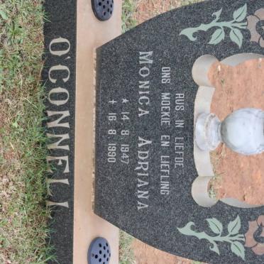 Oc - Surnames starting with the letters Oc