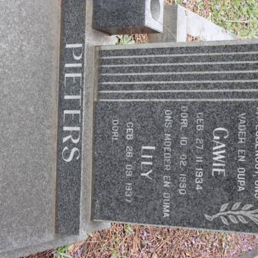 Pi - Surnames starting with the letters Pi