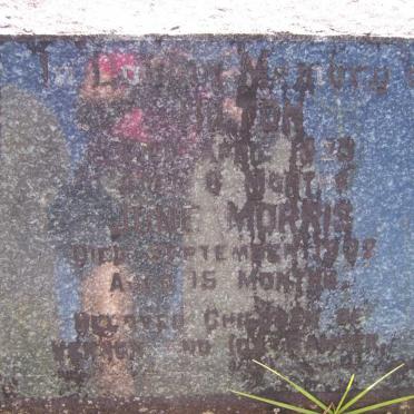 RANGER Hilton -1923 :: RANGER June Morris -1932