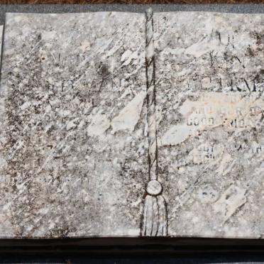 SCHEFERMANN Ken :: SCHEFERMANN Noel