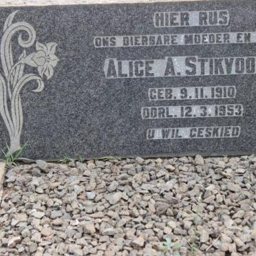 STIKVOORT Alice A. 1910-1953