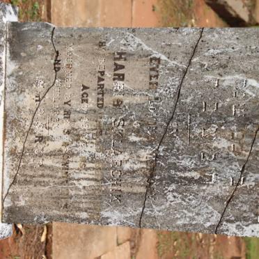 SKLARCHIK Harris -1918