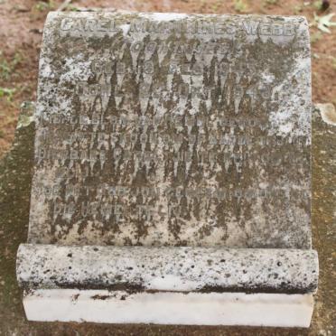 WEBB Carel Marthines 1945-1948