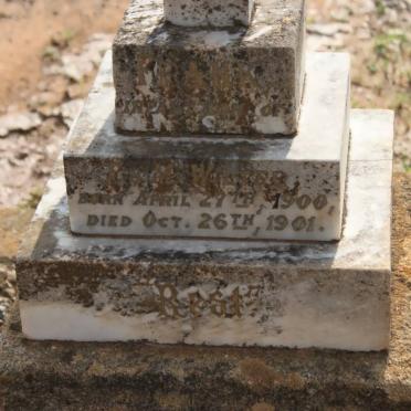 WALKER Frank 1900-1901