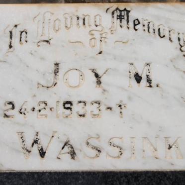 WASSINK Joy M. 1933-