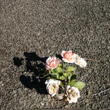 C - Surnames :: Vanne - C