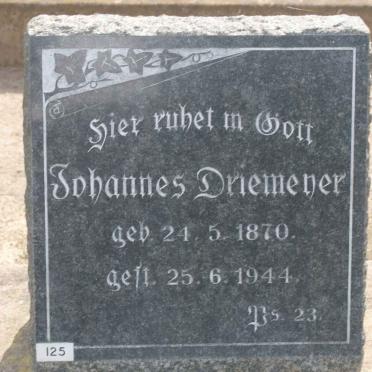 DRIEMEYER  Johannes 1870-1944