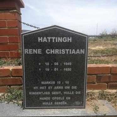 HATTINGH Rene Christiaan 1949-1950