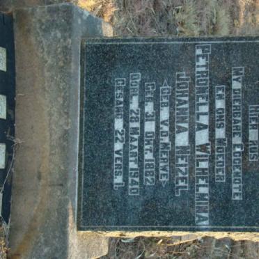 NEIZEL Petronella Wilhelmina Johanna nee VAN DER MERWE 1882-1940