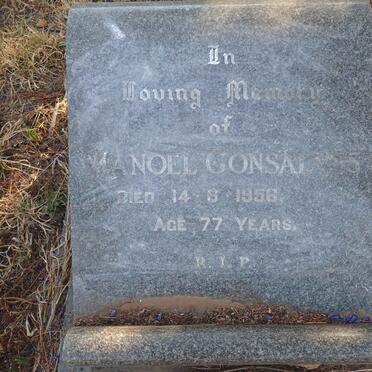 GONSALVES Manoel -1956