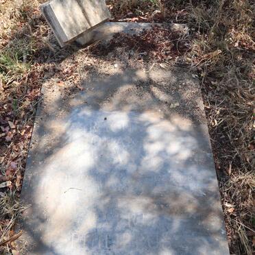 GROENEWALD Evert Philippus 1908-1995 & Rachel Johanna Susanna 1915-1987