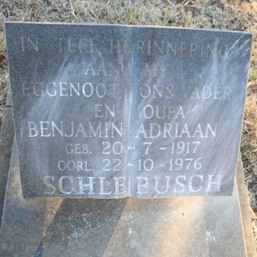 SCHLEBUSCH Benjamin Adriaan 1917-1976