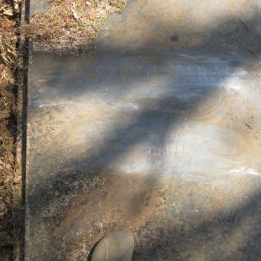 WOLMARANS F.G.A 1907-1987