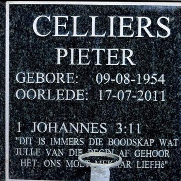 CELLIERS Pieter 1954-2011