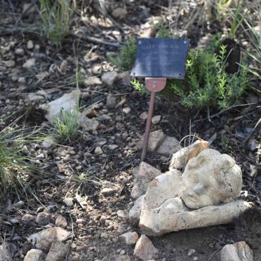 4. Overview / Oorsig