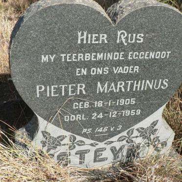 STEYN Pieter Marthinus 1905-1959