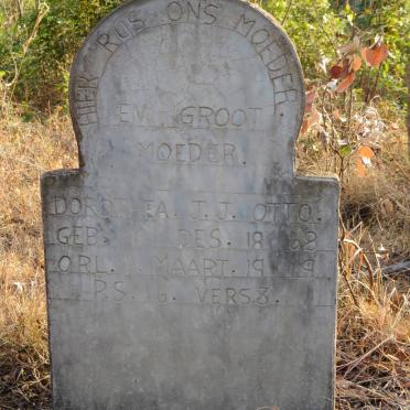 OTTO Dorothea J.J. 1868-1949