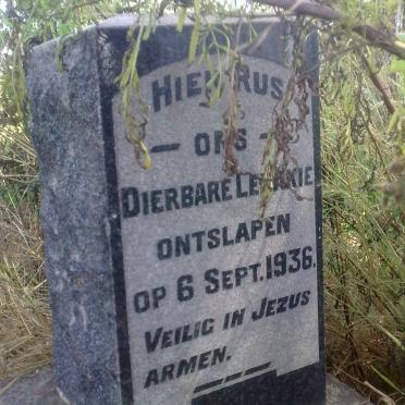 Limpopo, LETABA 1 district, Mooketsi, Keerom 352 LT,  farm cemetery