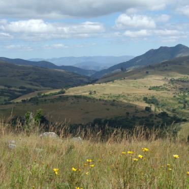 1. Overview / Oorsig