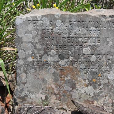 REDELINGHUYS Petrus J.H. 1893-