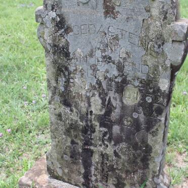 BADENHORST Jan Barend 1872-1934