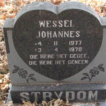 STRYDOM Wessel Johannes 1977-1978
