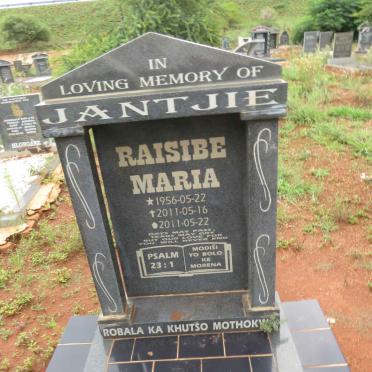 J - Vanne :: Surnames - J