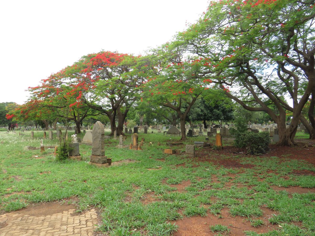 3. Oorsig / Overview