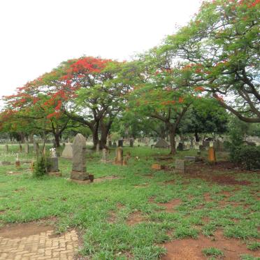 3. Oorsig / Overview