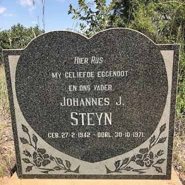 Limpopo, MOKOPANE district, Houtboschrivier 307, Houtbosrivier_3, farm cemetery