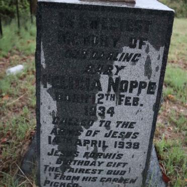 NOPPE Felicia 1934-1938